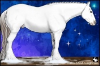 Horse Color:Liver Chestnut Appaloosa Rabicano 