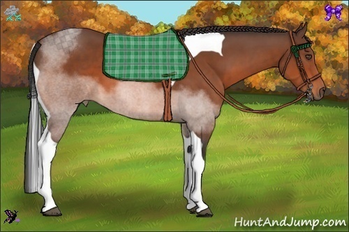 Horse Color:Bay Sabino Tobiano