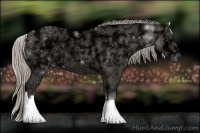 Horse Color:White Spotted Silver Black Ice Tobiano
