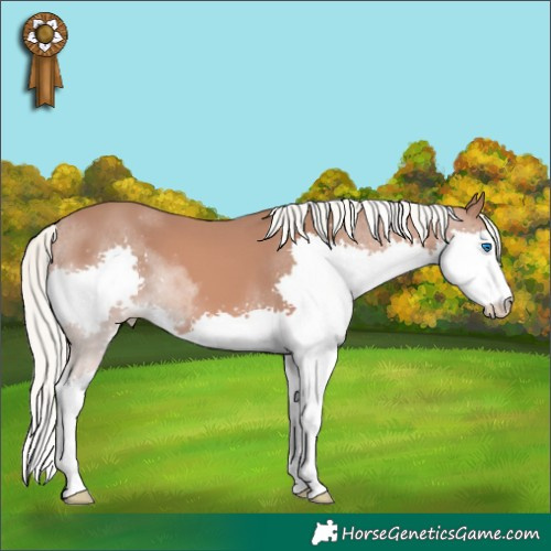 Horse Color:Chestnut Mushroom Splash 