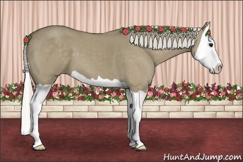 Horse Color:Silver Smoky Grullo Splash