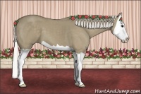 Horse Color:Silver Smoky Grullo Splash