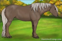Horse Color:Silver Black 