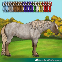 Horse Color:Chocolate Palomino Roan Mushroom 