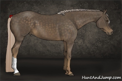 Horse Color:Chocolate Palomino 