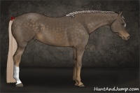 Horse Color:Chocolate Palomino