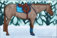 Horse Color:Red Roan 