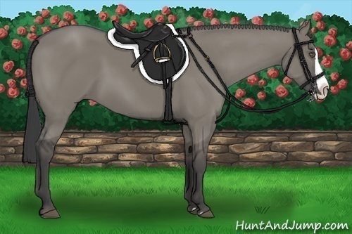 Horse Color:Smoky Grullo Splash 