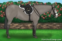 Horse Color:Smoky Grullo Splash
