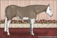 Horse Color:Silver Smoky Black Splash 