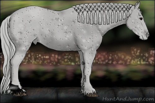 Horse Color:ERROR: UNKNOWN ANOMALY