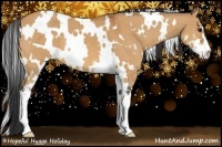 Horse Color:White Spotted Bay Dun Sabino 