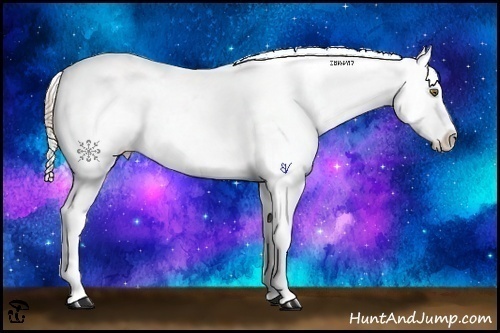 Horse Color:Liver Chestnut Pearl Sabino Snowcap 