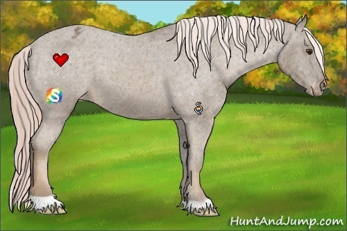 Horse Color:Chocolate Palomino Varnish 