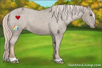 Horse Color:Chocolate Palomino Varnish