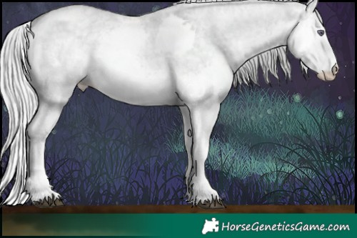 Horse Color:White Spotted Silver Smoky Grullo Chinchilla Ice Roan Splash  Brindle