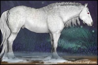 Horse Color:White Spotted Silver Smoky Grullo Chinchilla Ice Roan Splash  Brindle