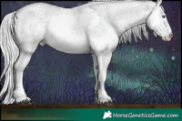 Horse Color:White Spotted Silver Smoky Grullo Chinchilla Ice Roan Splash  Brindle