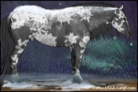 Horse Color:Black Ice Brindle