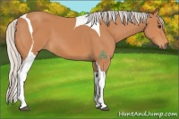 Horse Color:Silver Bay Sabino Tobiano