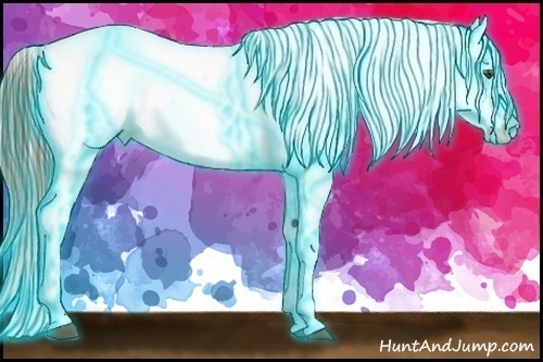 Horse Color:Thunderstruck Red Dun Tobiano Near Leopard