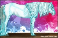Horse Color:Thunderstruck Red Dun Tobiano Appaloosa