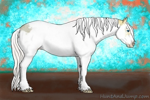 Horse Color:Silver Classic Champagne Ice Dun Splash Tobiano Frame 