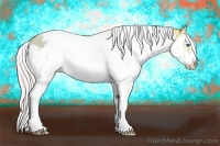 Horse Color:Silver Classic Champagne Ice Dun Splash Tobiano Frame 