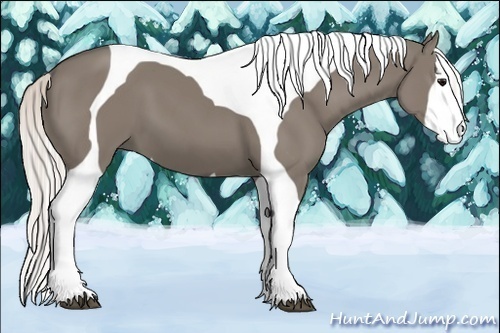 Horse Color:Silver Grullo Splash Tobiano