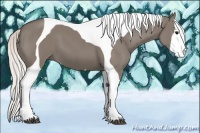 Horse Color:Silver Grullo Splash Tobiano 