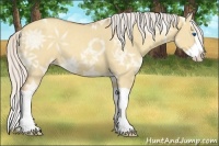 Horse Color:Silver Classic Champagne Ice Dun Splash 