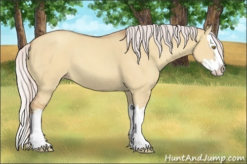 Horse Color:Silver Classic Champagne Dun Splash