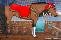 Horse Color:Bay Rabicano 