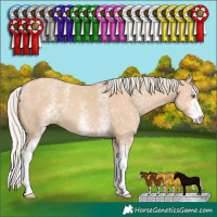 Horse Color:White Spotted Silver Classic Champagne Dun 