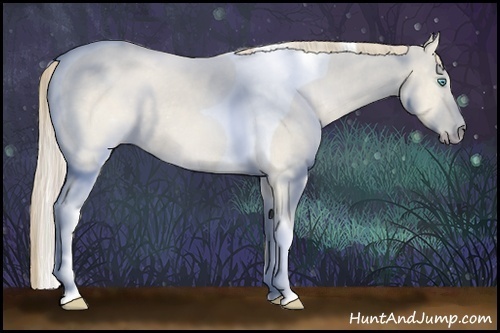 Horse Color:Perlino Dun Tobiano 