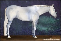 Horse Color:Perlino Dun Tobiano 