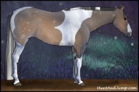 Horse Color:Brown Dun Tobiano 
