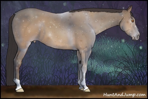 Horse Color:Sable Champagne 