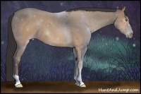 Horse Color:Sable Champagne 