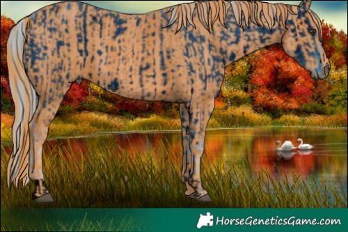 Horse Color:ERROR: UNKNOWN ANOMALY Brindle