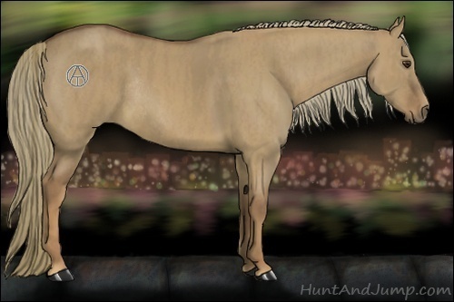 Horse Color:Red Dun Rabicano  Brindle