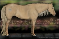 Horse Color:Red Dun Rabicano Brindle