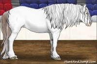 Horse Color:Amber Champagne Frame Appaloosa