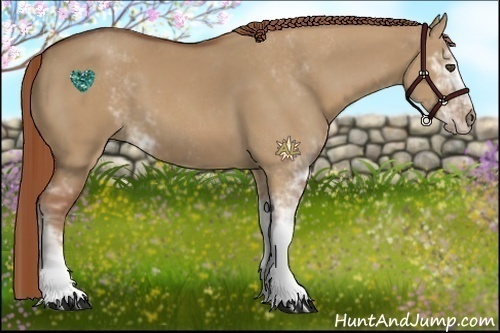 Horse Color:Red Dun Sabino 