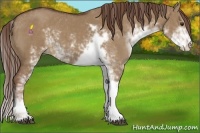 Horse Color:Liver Red Dun Sabino