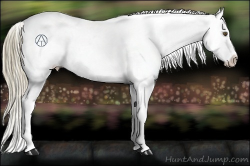 Horse Color:Red Dun Mushroom Varnish Rabicano 