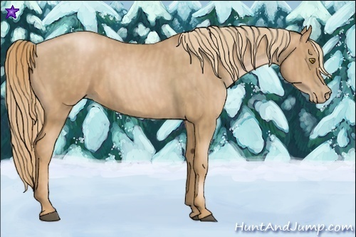 Horse Color:Chestnut Pearl  Brindle