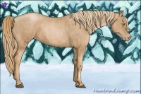 Horse Color:Chestnut Pearl  Brindle