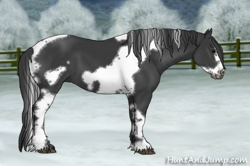 Horse Color:Black Tobiano Frame