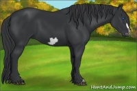Horse Color:Black Frame 